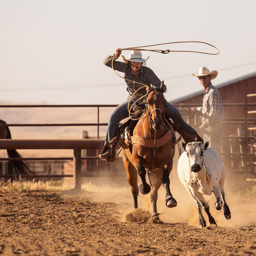 How to Reduce Oxidative Stress in Horses