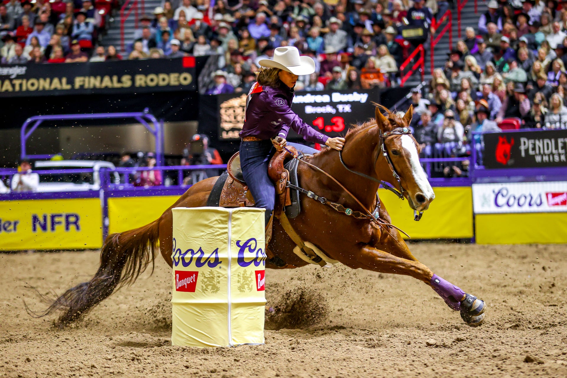 Andrea Busby barrel racing