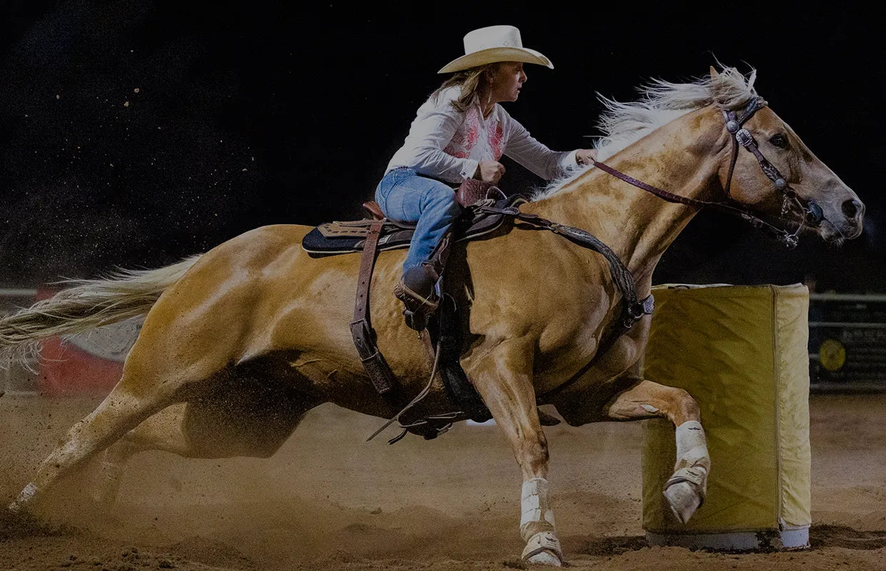 Horse Digestive Supplements