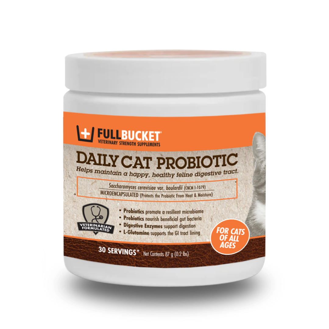 Daily Cat Probiotic