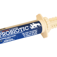 Canine Probiotic Paste