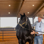 Dr Rob Franklin horse probiotic