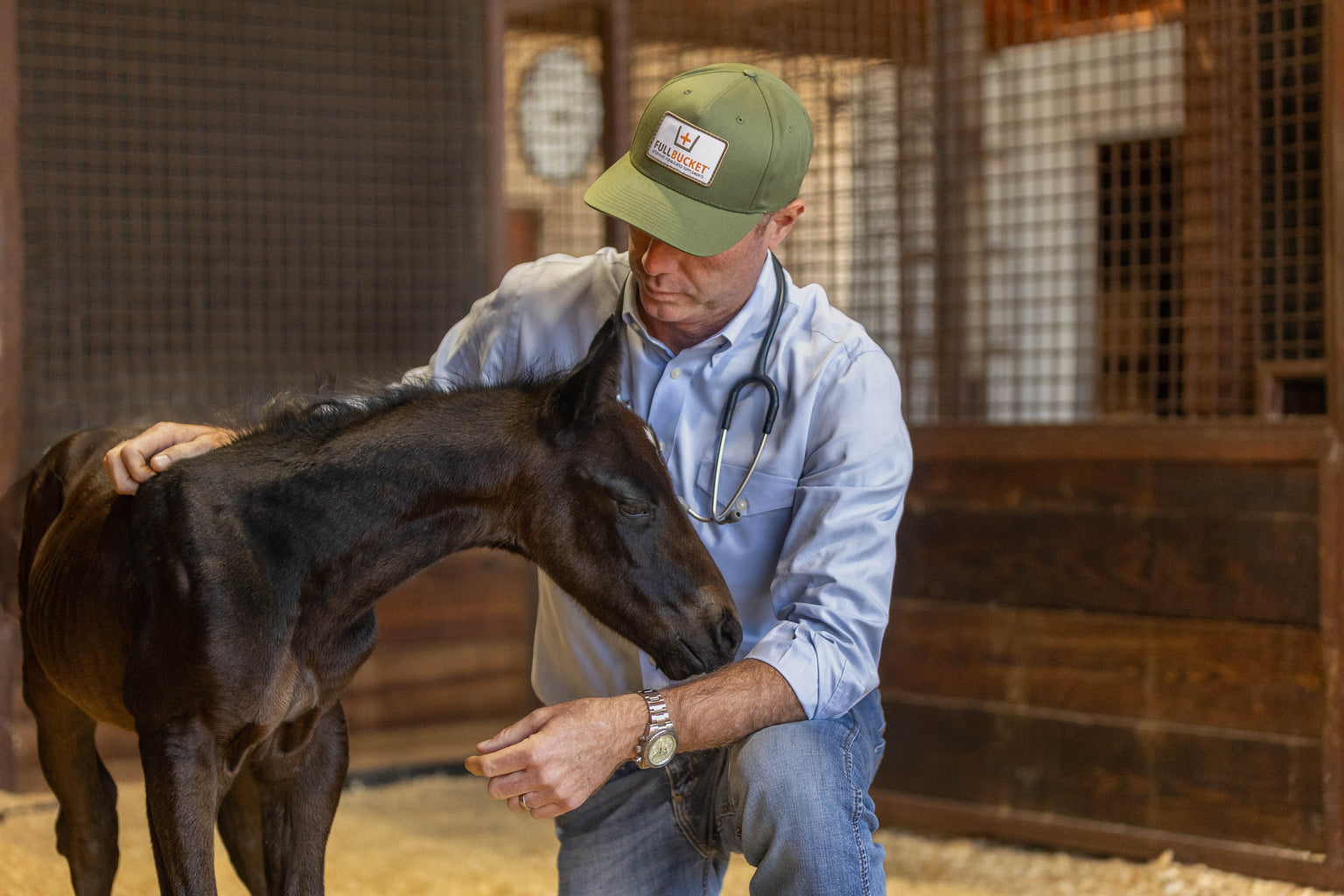 Vet Checking on Foal 