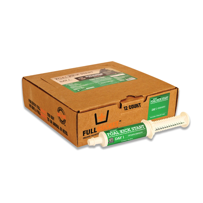 start today boost box Foal Kick Start Paste | Supplement Boost