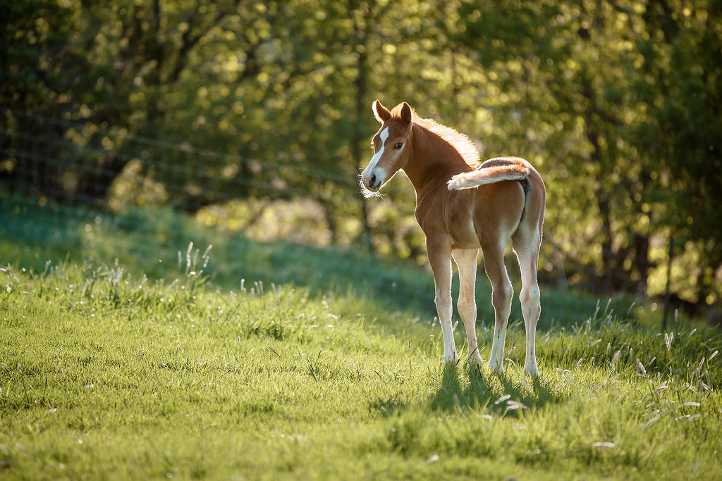 You’veWaited11 Months