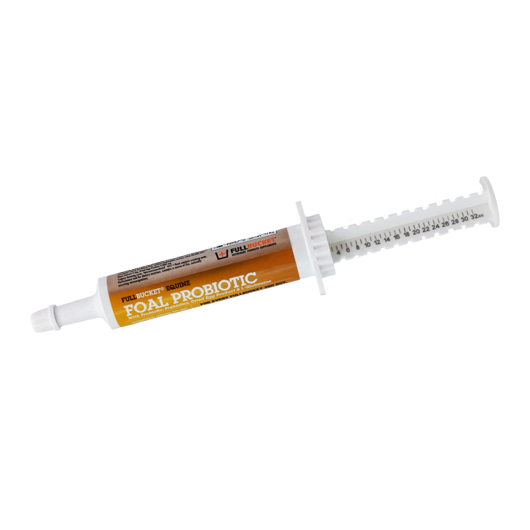 Foal Probiotic Paste