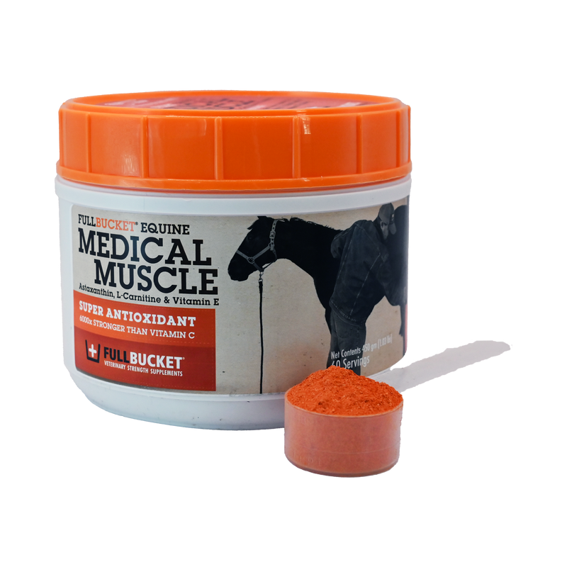 l-carnitine horse supplement Medical Muscle Performance Horse Supplement | Power, Endurance, Recovery