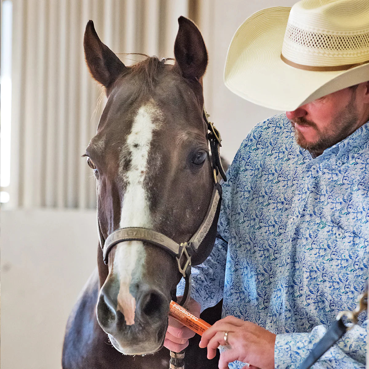 Mike Zeigler and horse with probiotic