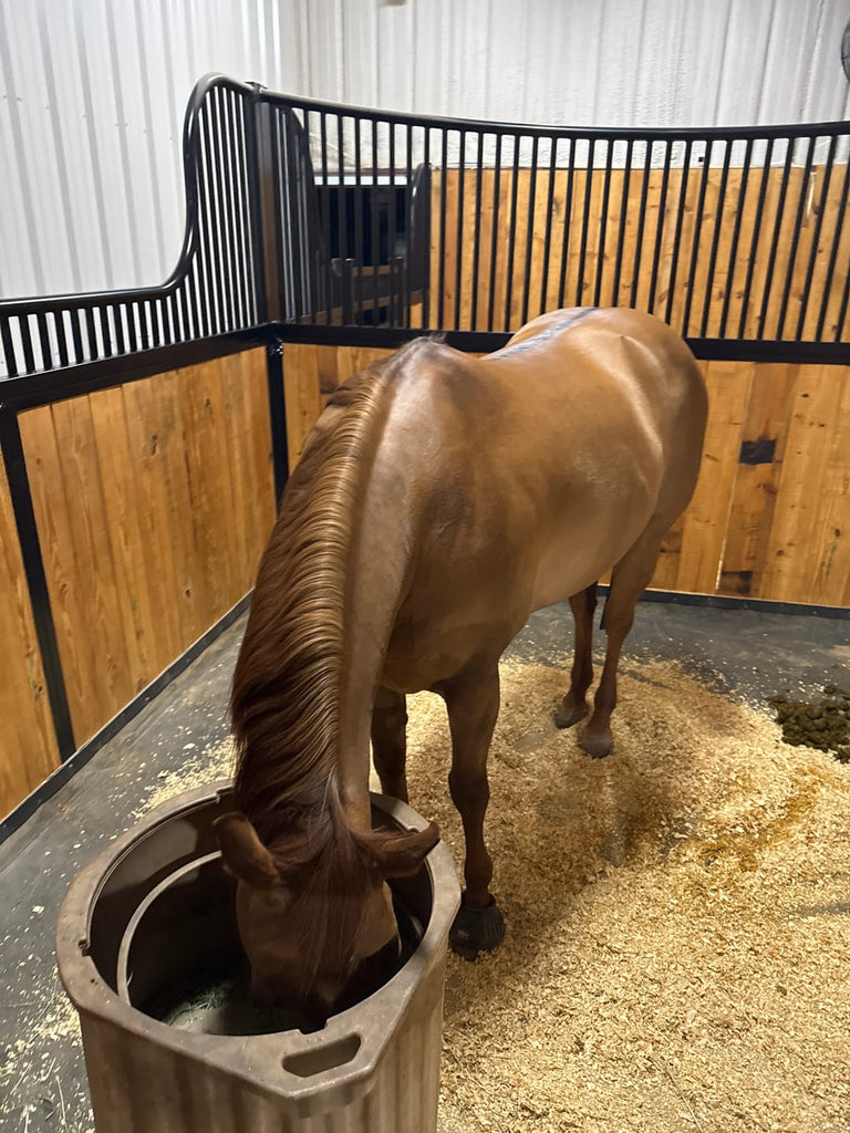 Equine Extra Strength Probiotic Pellets