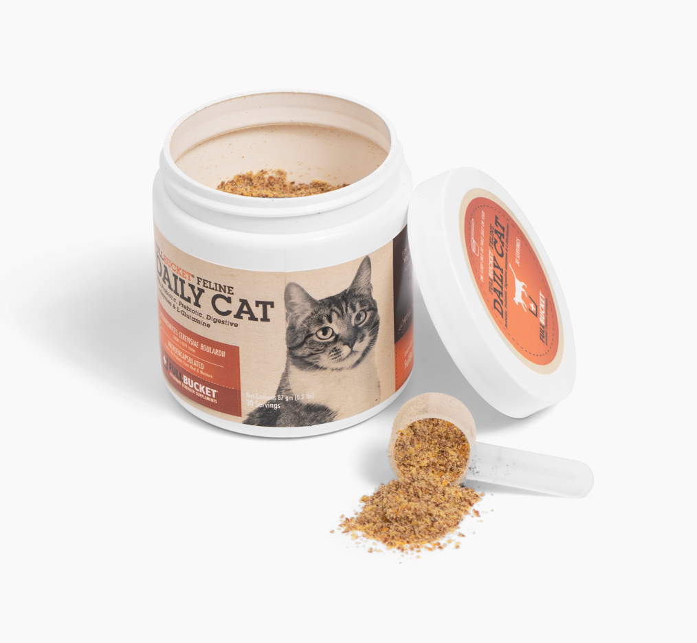 All Natural Daily Cat Probiotic for Digestion FullBucket Health