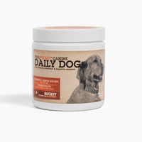 Daily Dog Probiotic