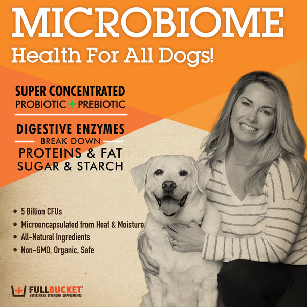 Daily Dog Probiotic Supplements for Gut Health FullBucket Health
