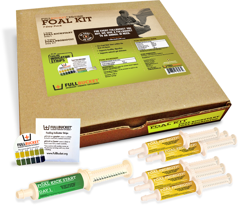 Foal Kit