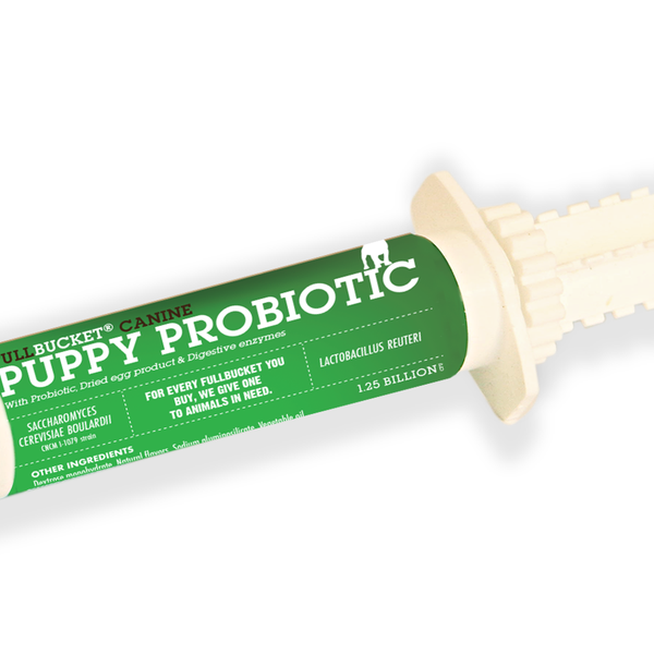 Best probiotic store paste for dogs